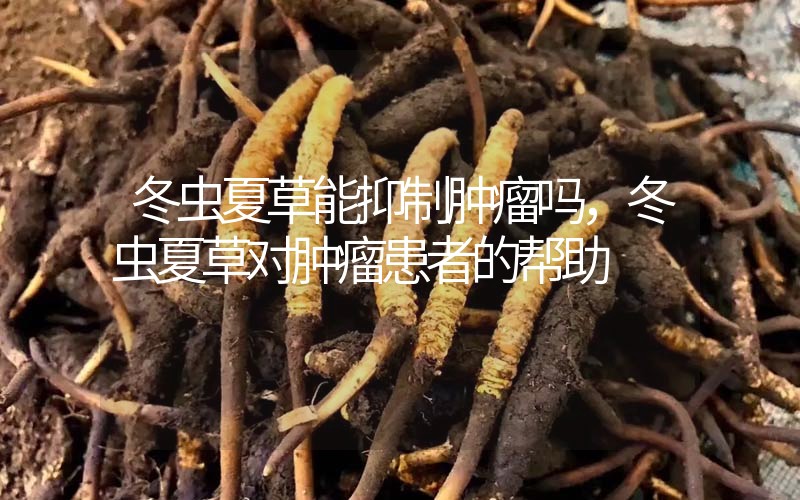 冬蟲夏草能抑制腫瘤嗎？冬蟲夏草對腫瘤患者的幫助