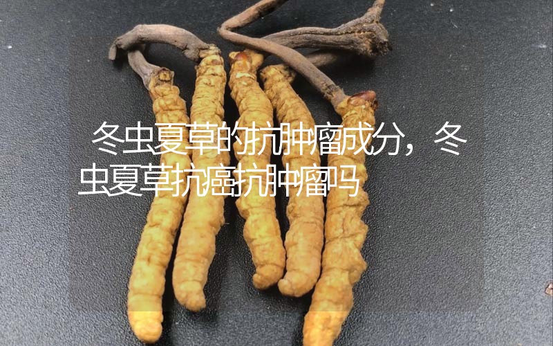 冬蟲夏草的抗腫瘤成分，冬蟲夏草抗癌抗腫瘤嗎？