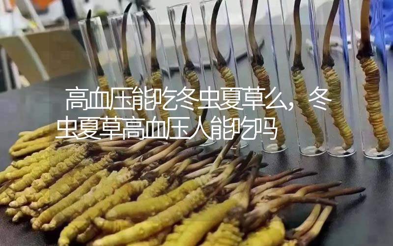高血壓能吃冬蟲夏草么，冬蟲夏草高血壓人能吃嗎
