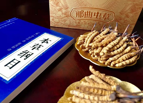 冬蟲夏草真就那么好嗎？它的主要功能是什么呀