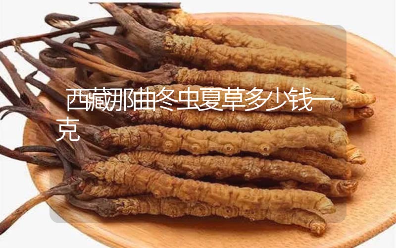 西藏那曲冬蟲夏草多少錢一克？
