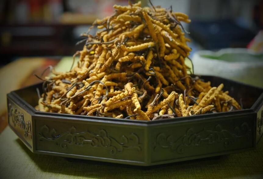 <a href=http://m.xmwhr.com/ target=_blank class=infotextkey>冬蟲夏草</a>