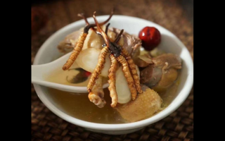 冬蟲夏草當茶飲的兩個配方參考