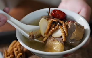冬蟲夏草搭配有道，滋養(yǎng)肺部效果妙