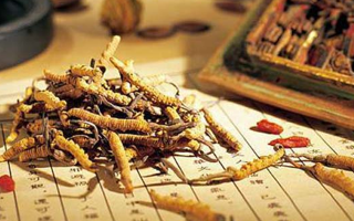 同仁堂健康冬蟲夏草：傳承品質(zhì)，饋贈(zèng)健康