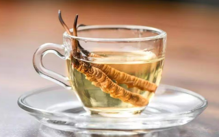 一杯蟲(chóng)草水，健康新滋味：冬蟲(chóng)夏草泡水喝的奇妙功效