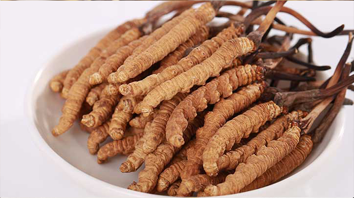 野生鮮<a href=http://m.xmwhr.com/s/nqcc/ target=_blank class=infotextkey>那曲冬蟲夏草</a>：雪域高原的時(shí)令滋補(bǔ)珍品