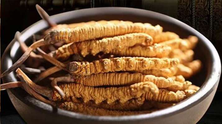 冬蟲夏草燉湯會上火嗎？科學(xué)解析滋補(bǔ)與上火的平衡之道