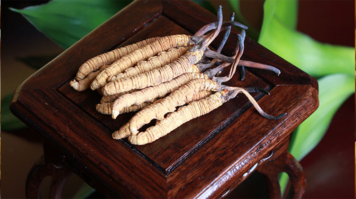 怎樣鑒別<a href=http://m.xmwhr.com/tag/6.html target=_blank class=infotextkey>冬蟲夏草的產(chǎn)地</a>