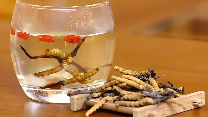 長期喝冬蟲夏草泡水好嗎？科學(xué)分析與飲用指南