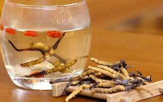 長(zhǎng)期喝冬蟲(chóng)夏草泡水好嗎？科學(xué)分析與飲用指南