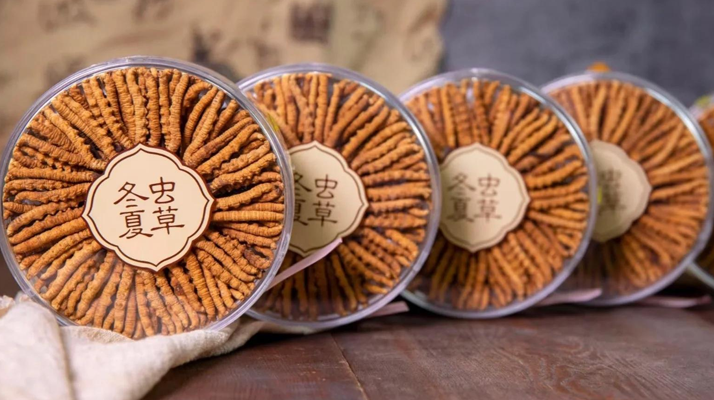 把握黃金時段！冬蟲夏草在這些時候吃效果更佳