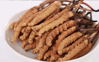 冬蟲夏草一公斤多少錢？多因素交織下的價(jià)格密碼