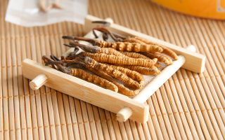 冬蟲夏草怎么燉比較好？解鎖營養(yǎng)不流失的燉煮指南