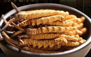 冬蟲夏草效果好不好用？科學與實踐視角下的全面解析