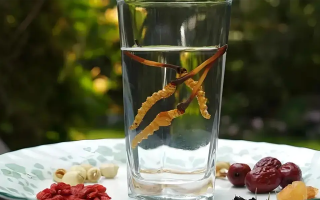 冬蟲夏草能空腹泡水喝嗎？不同人群需區(qū)別對(duì)待