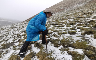 西藏挖冬蟲(chóng)夏草在什么時(shí)候？產(chǎn)區(qū)與時(shí)間全攻略