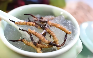 十根冬蟲夏草能泡幾斤酒？泡酒比例與細節(jié)指南