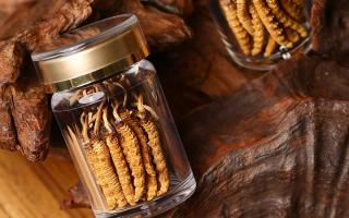 鮮冬蟲夏草泡水后怎么保存？3 種場景保存方法 + 避坑指南