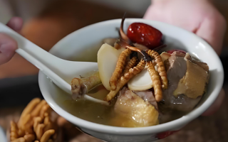  冬蟲夏草和什么食材搭配煲湯比較好？