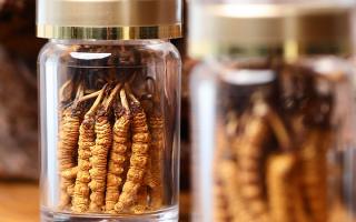 正宗冬蟲(chóng)夏草哪家便宜？——教你選對(duì)低價(jià)正品渠道