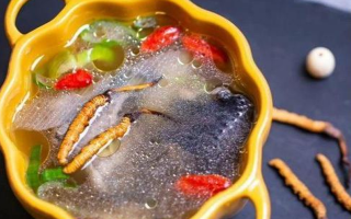 那曲冬蟲夏草辨別全指南｜教你避開市場陷阱，認準正宗珍品